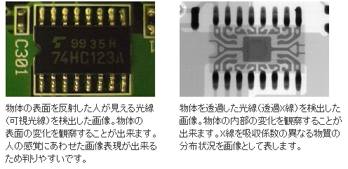 可視光画像とX線画像