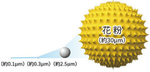 花粉とPM2.5の大きさ規格イメージ